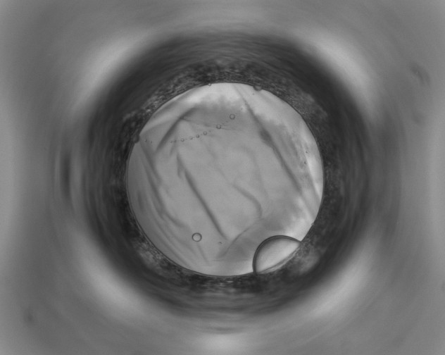 X0000113030526200909241416