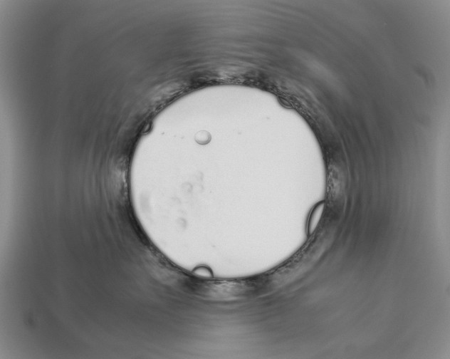 X0000113030527200909241416