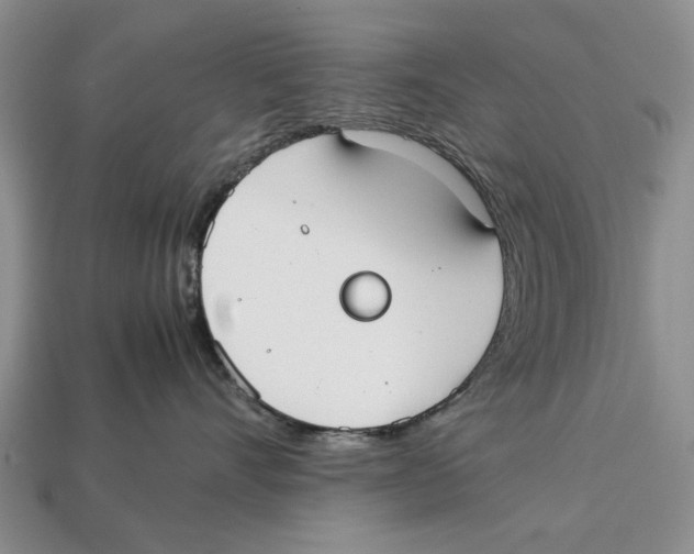 X0000113030528200909241416