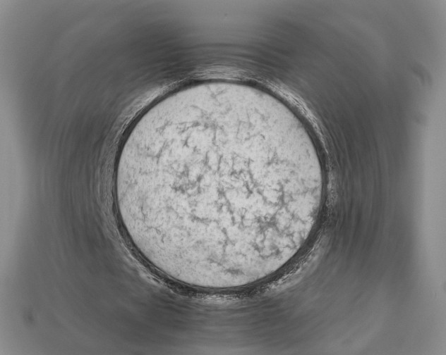 X0000113030529200909241416