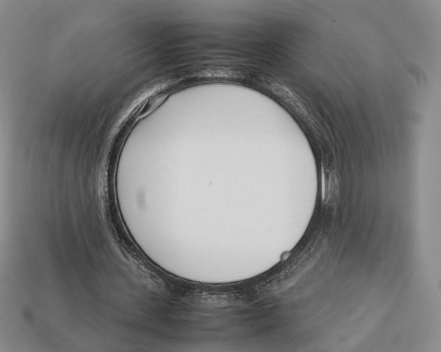 X0000113030531200909241416