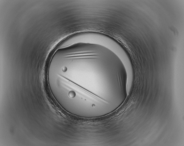 X0000113030532200909241416