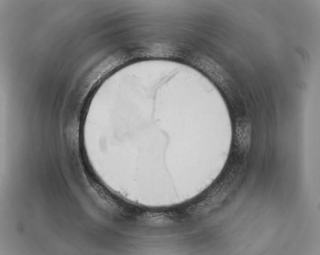 X0000113030534200909241416