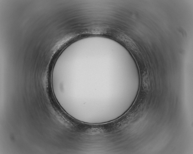 X0000113030536200909241416