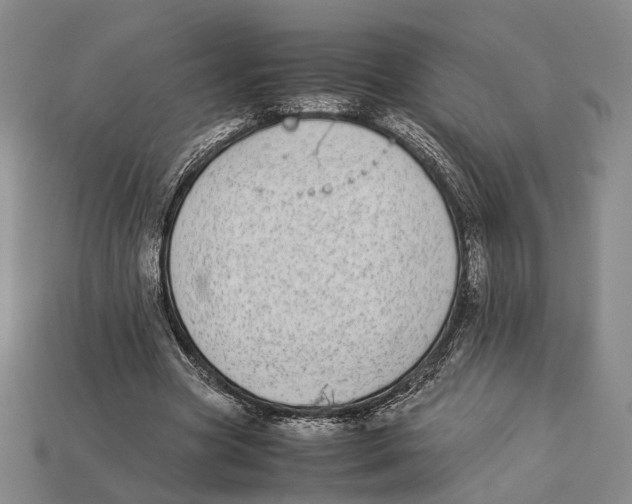 X0000113030537200909241416