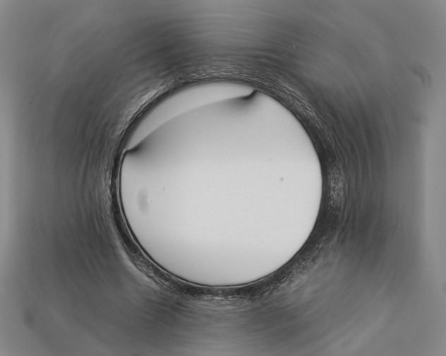 X0000113030538200909241416