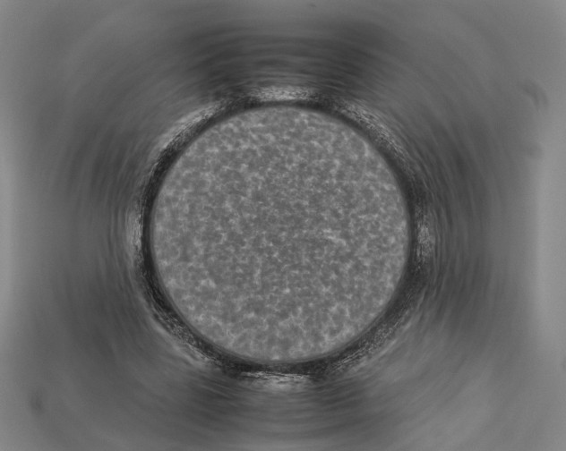 X0000113030539200909241416