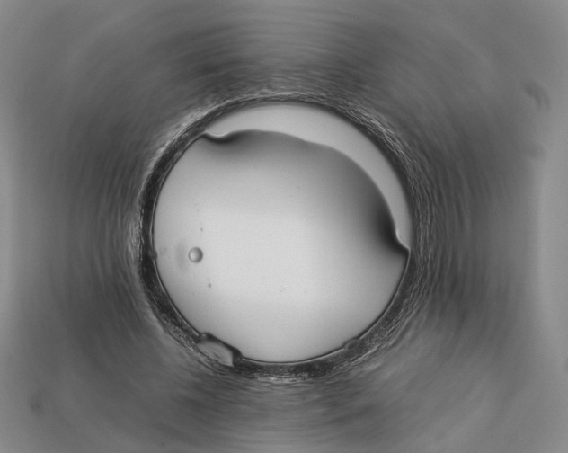 X0000113030540200909241416