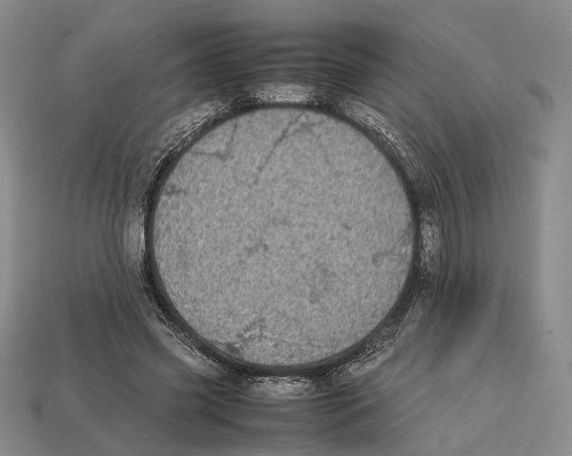 X0000113030541200909241416