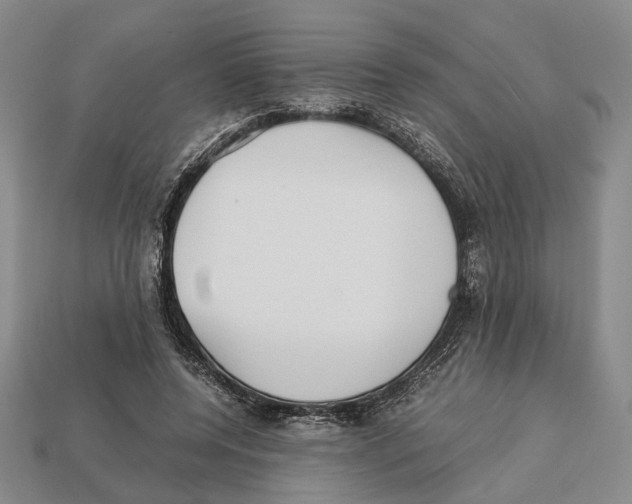 X0000113030544200909241416