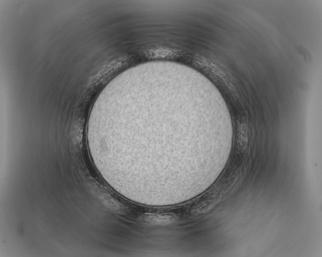 X0000113030545200909241416