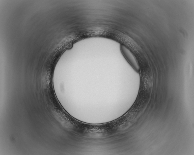 X0000113030546200909241416