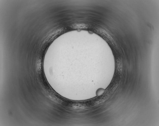 X0000113030549200909241416