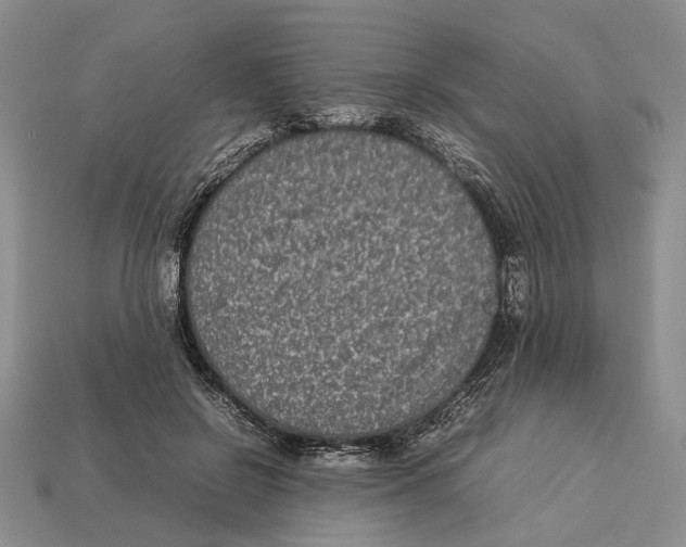 X0000113030550200909241416