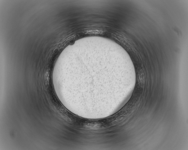 X0000113030551200909241416