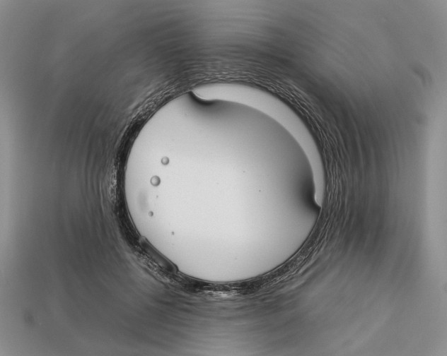 X0000113030552200909241416