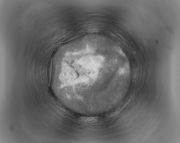 X0000113030553200909241416