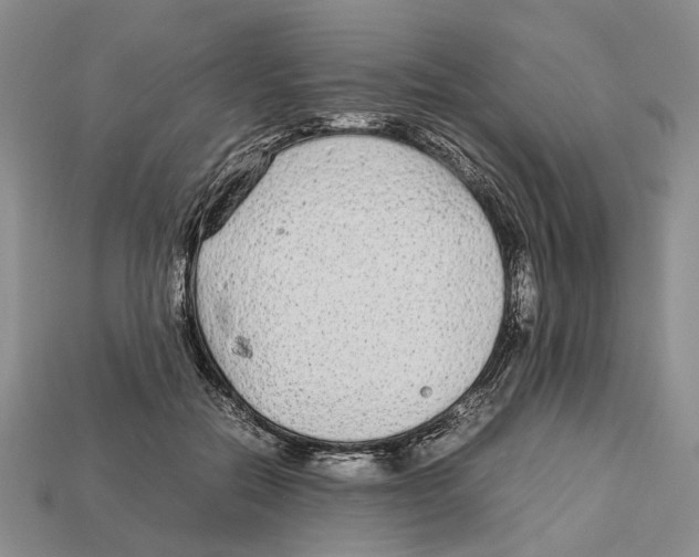 X0000113030554200909241416