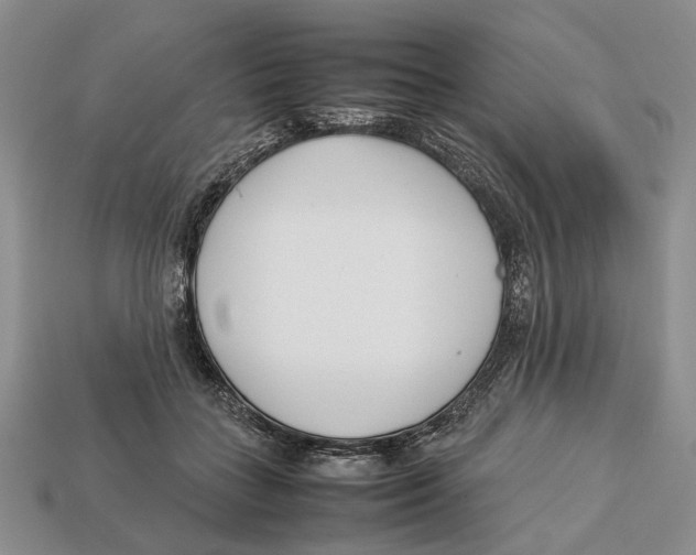 X0000113030555200909241416