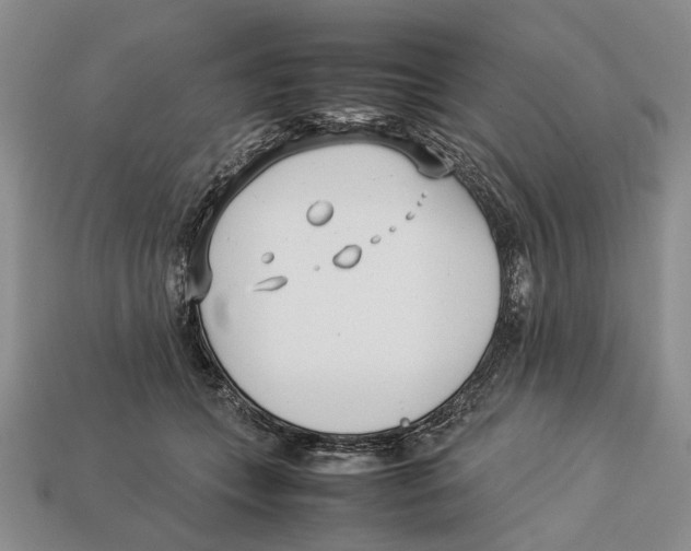 X0000113030559200909241416