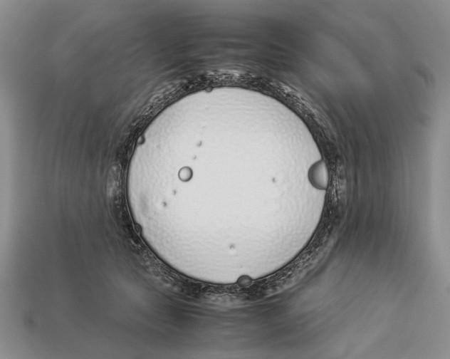 X0000113030561200909241416