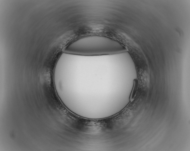 X0000113030562200909241416