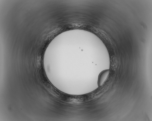 X0000113030563200909241416