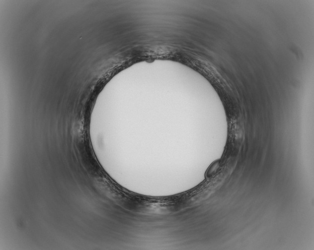 X0000113030564200909241416