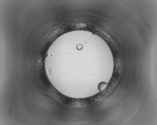 X0000113030565200909241416