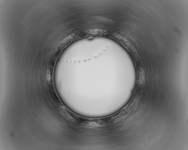 X0000113030569200909241416