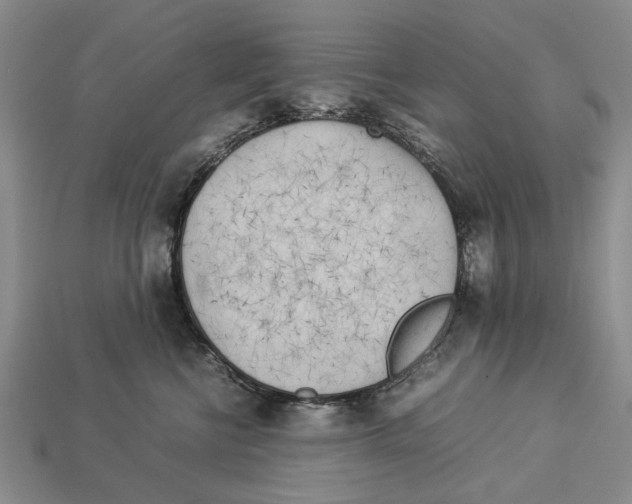 X0000113030570200909241416