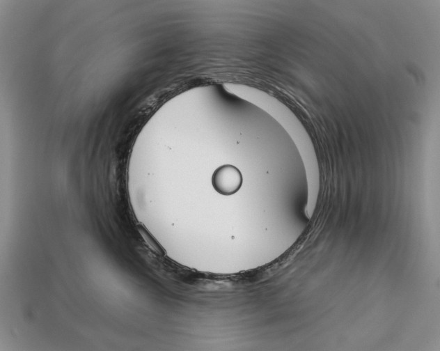 X0000113030572200909241416