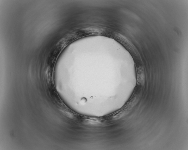 X0000113030573200909241416