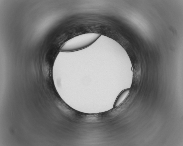 X0000113030574200909241416