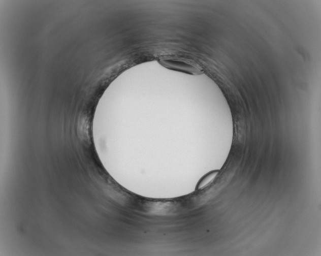 X0000113030575200909241416