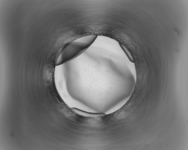 X0000113030576200909241416