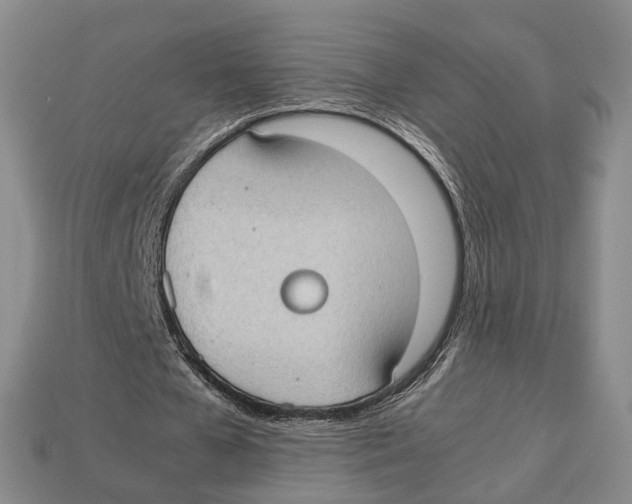 X0000113030577200909241416