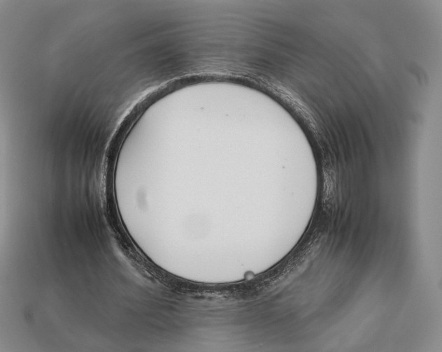 X0000113030580200909241416