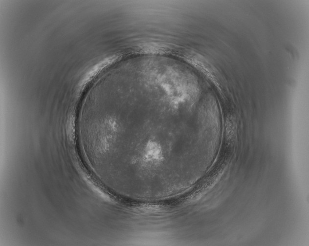 X0000113030581200909241416