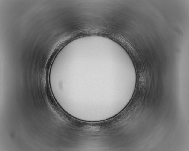 X0000113030582200909241415