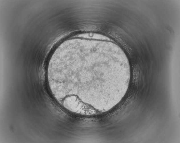 X0000113030584200909241415