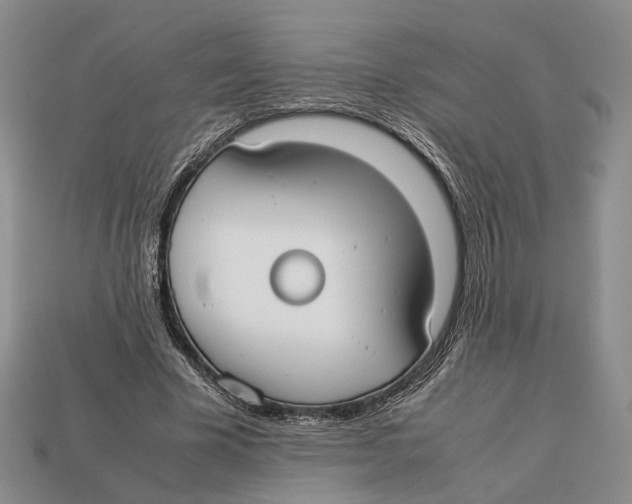 X0000113030585200909241415