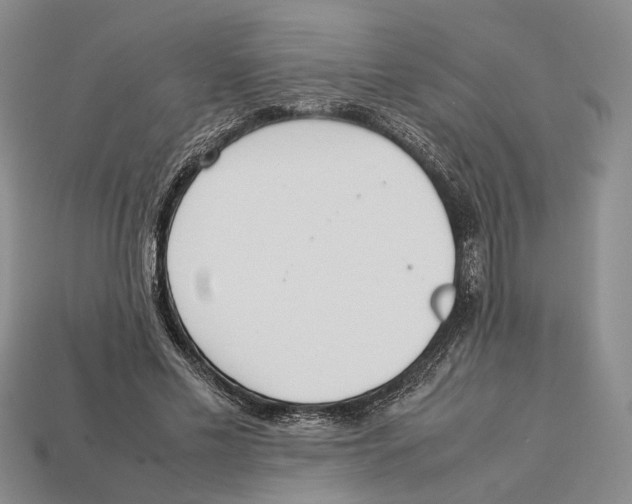 X0000113030589200909241415