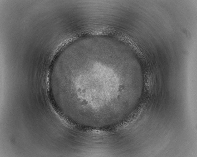 X0000113030590200909241415