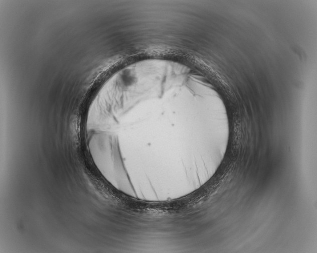 X0000113030592200909241415