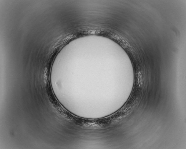 X0000113030594200909241415