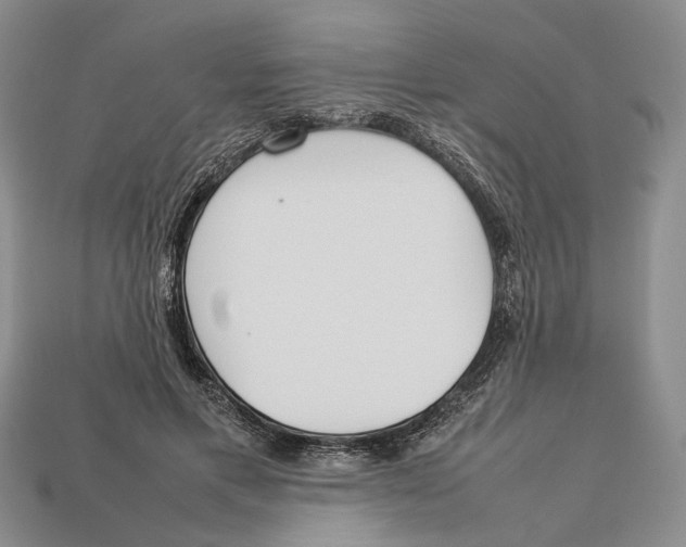 X0000113030597200909241415