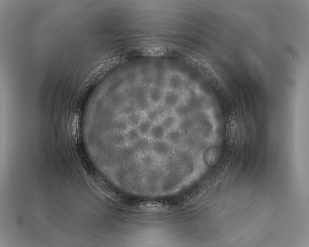 X0000113030598200909241415