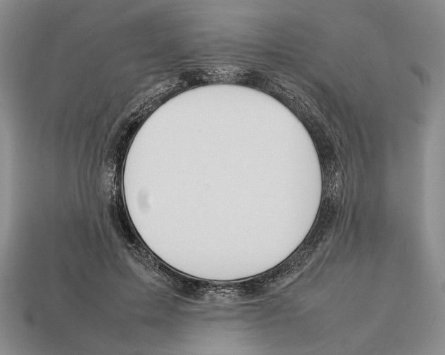 X0000113030599200909241415