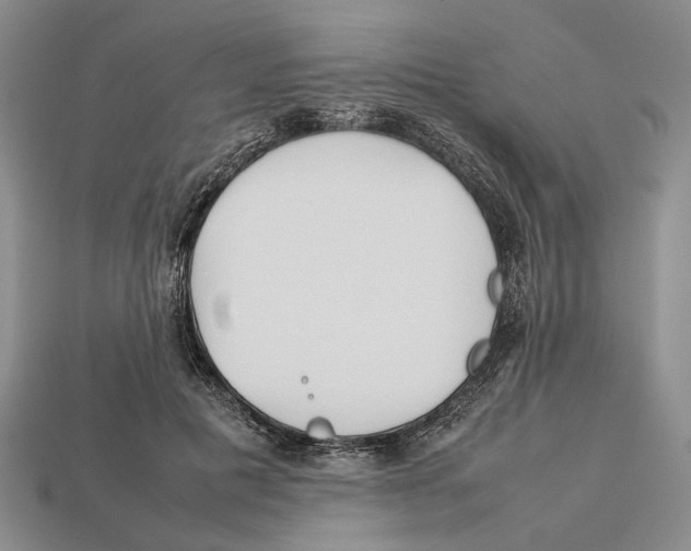 X0000113030601200909241415